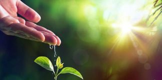 Oración al Corazón Divino de Jesús por la curación de un enfermo Oración al Corazón Divino de Jesús por la curación de un enfermo