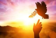 Oración de San Josemaría al Espíritu Santo Oración de San Josémaría al Espíritu Santo