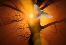 Invocación al Espíritu Santo Pentecostés