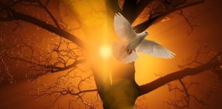 Invocación al Espíritu Santo Pentecostés