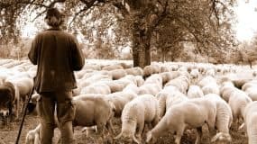 Trato de amistad con el Buen Pastor Buen Pastor